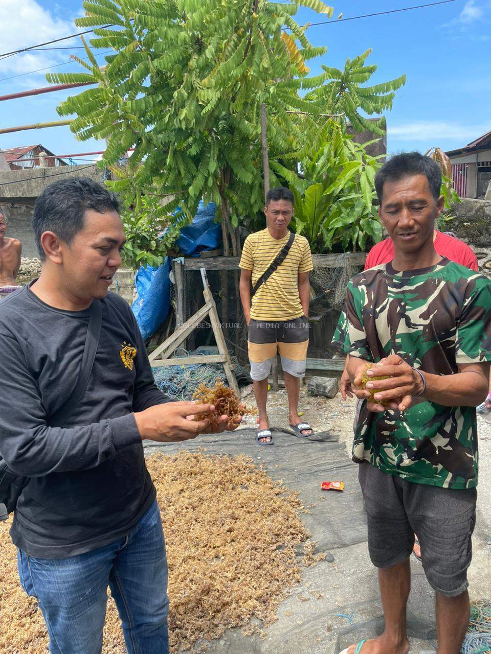POLRES LUTIM LIDIK DUGAAN AIR LAUT TERCEMAR, PETANI RUMPUT LAUT DESA LAMPENAI GAGAL PANEN
