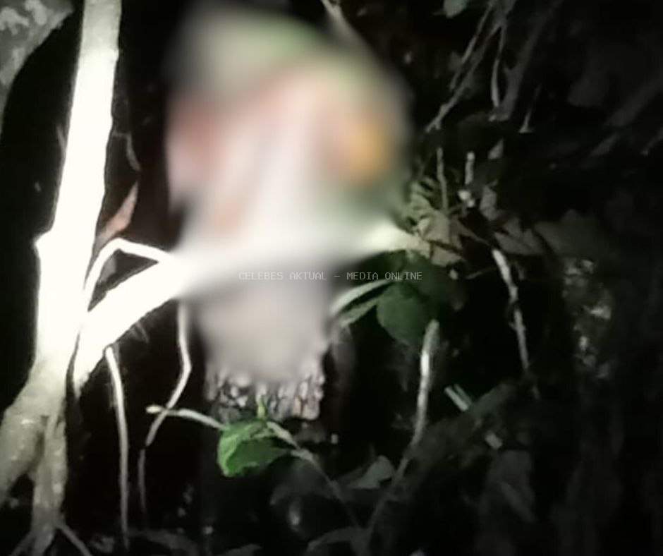 Warga Tomoni Timur Digegerkan Penemuan Mayat Tergantung Dipohon