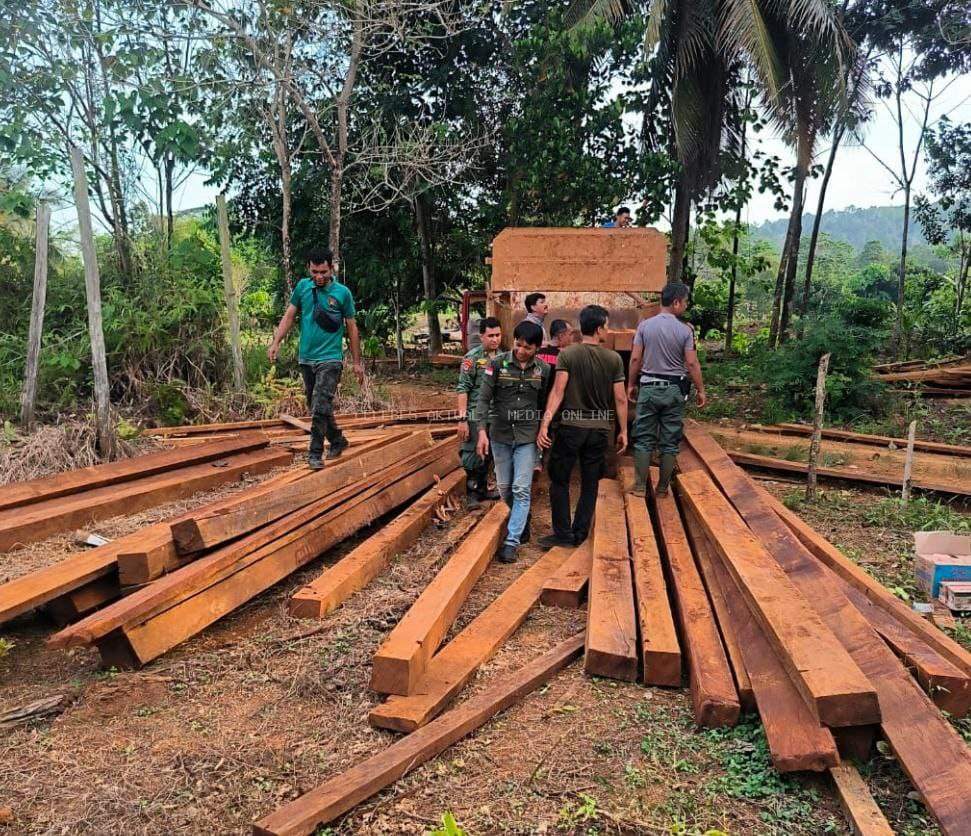 Patroli KPH Angkona Amankan 30 Kubik Kayu Olahan di Kawasan Hutan Lindung Desa Tarabbi