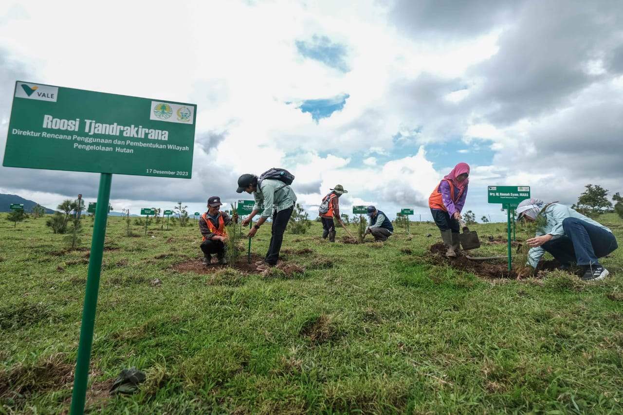 PT. Vale dan Pemprov Sulsel Sinergi Hijau: Rehabilitasi DAS dan Peningkatan IKLH