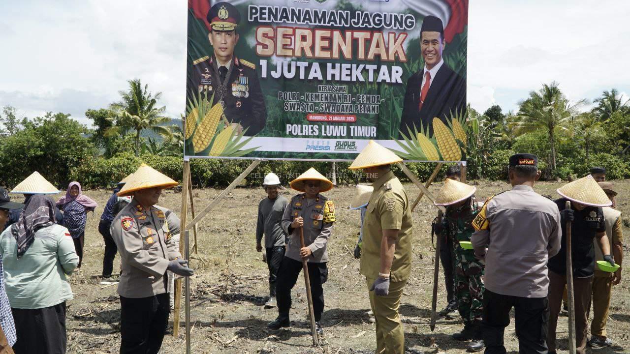 Ketahanan Pangan Nasional: Polres Luwu Timur Jangkau 56 Hektar Lahan Jagung