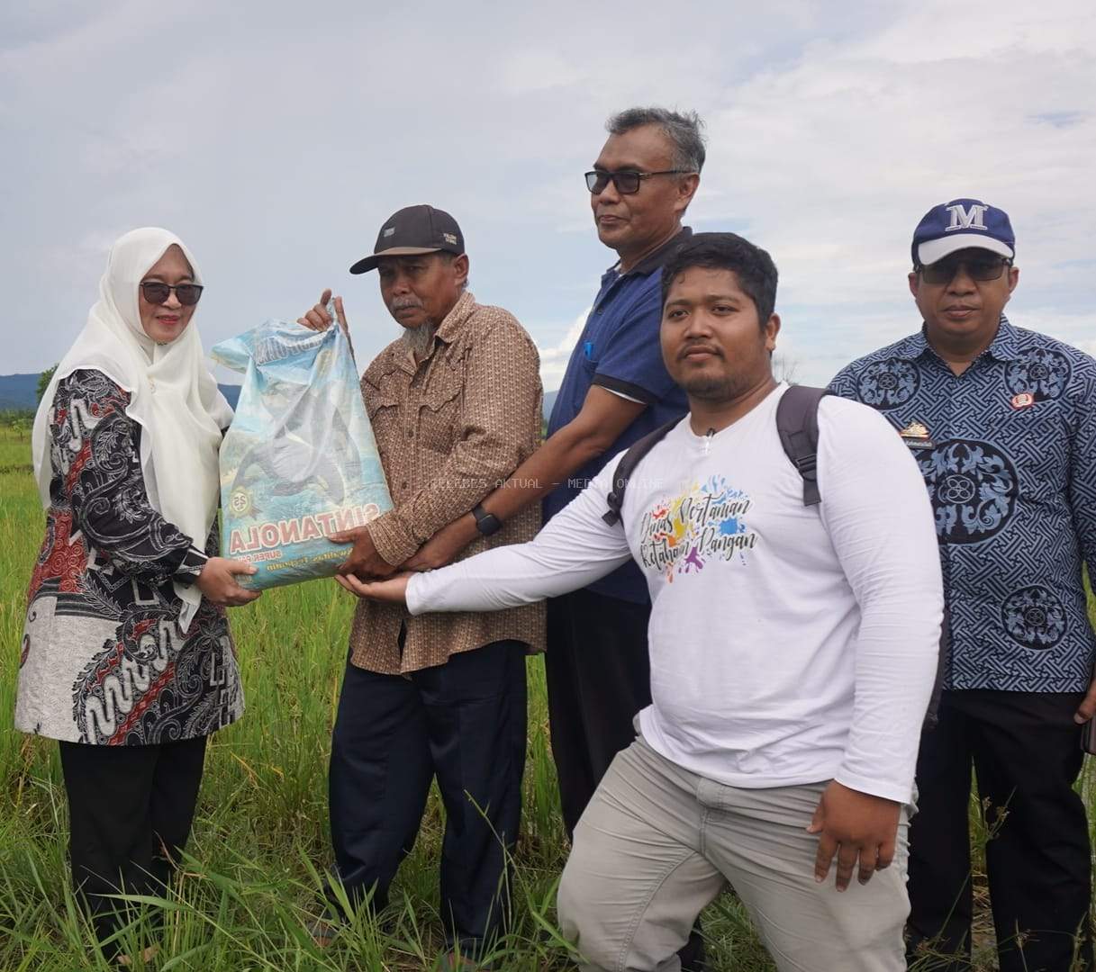 Wabup Puspa Tinjau Lahan Sawah yang Terserang Hama Tikus di Mahalona