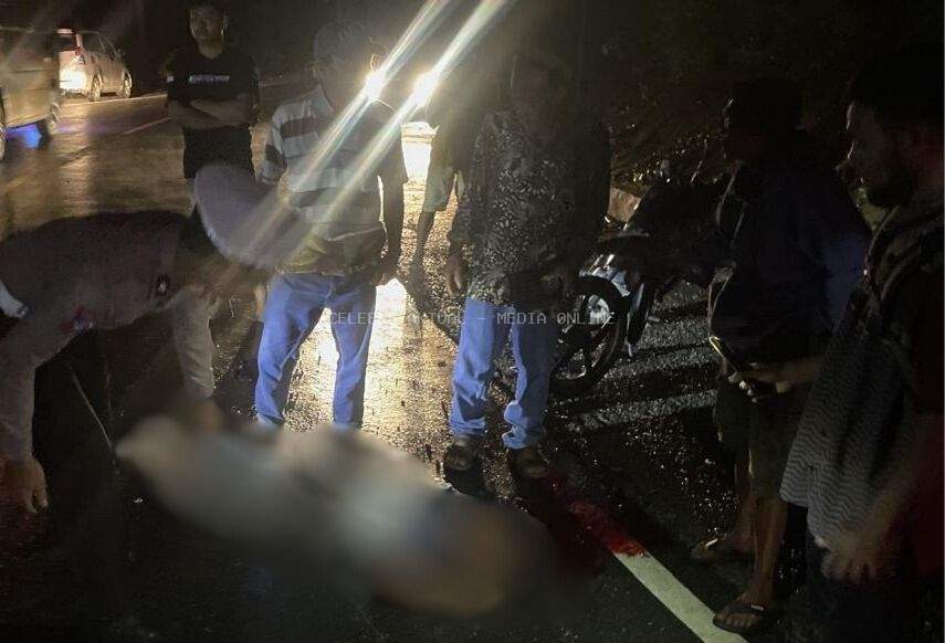 Kecelakaan Tabrak Lari di Mangkutana, Pengendara Motor Meninggal di Tempat