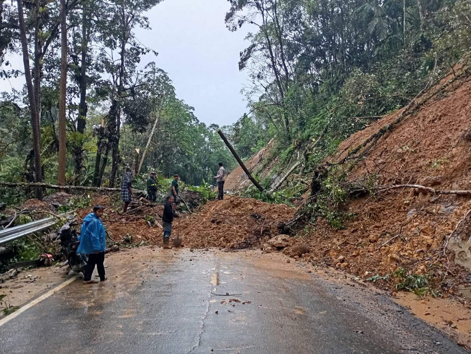 Bupati Luwu Timur Perintahkan Penanganan Cepat Longsor di Jalan Trans Sulawesi