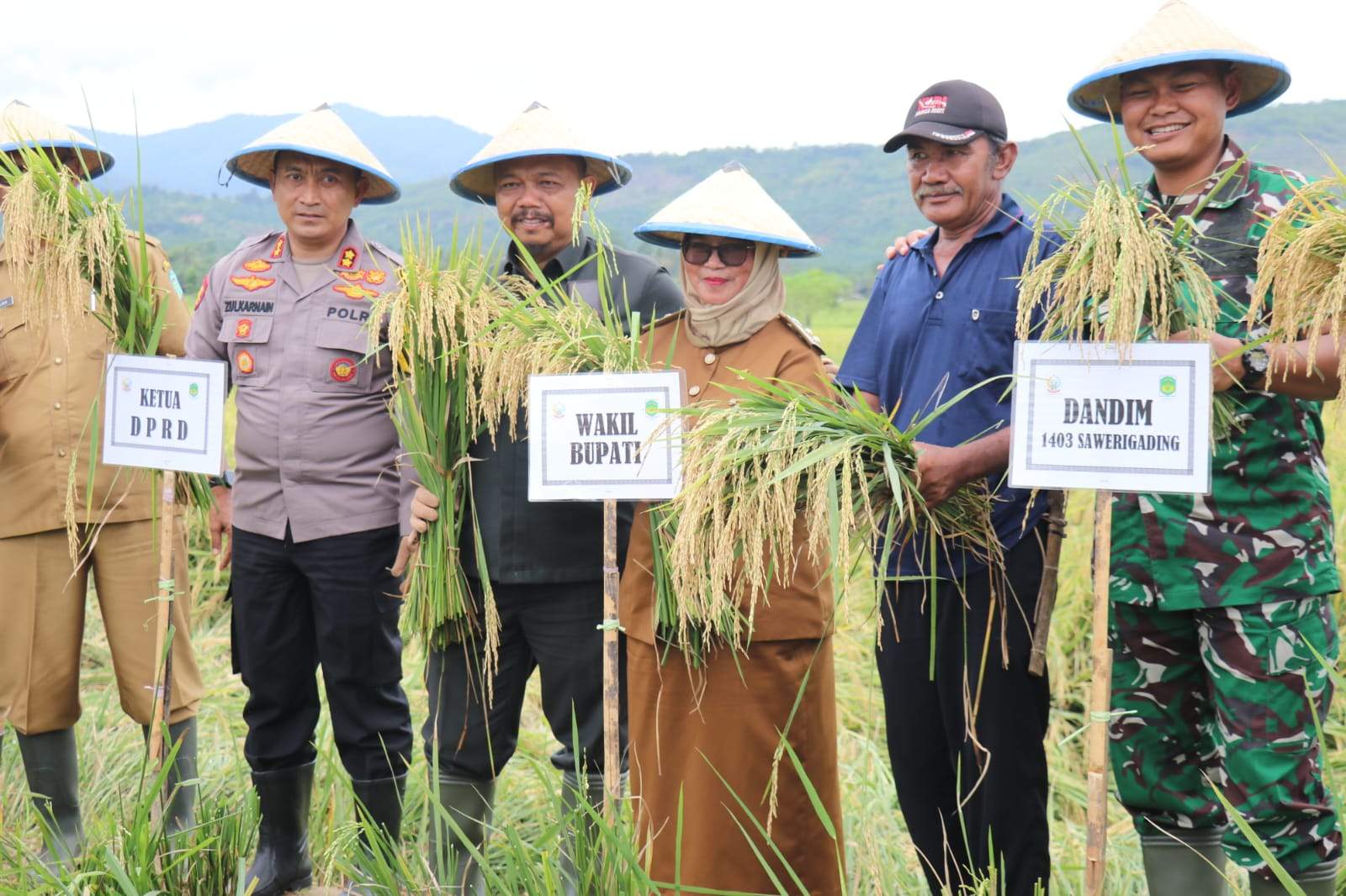 Lutim Ambil Bagian dalam Panen Raya Nasional, Wabup Puspa Apresiasi Peran Petani