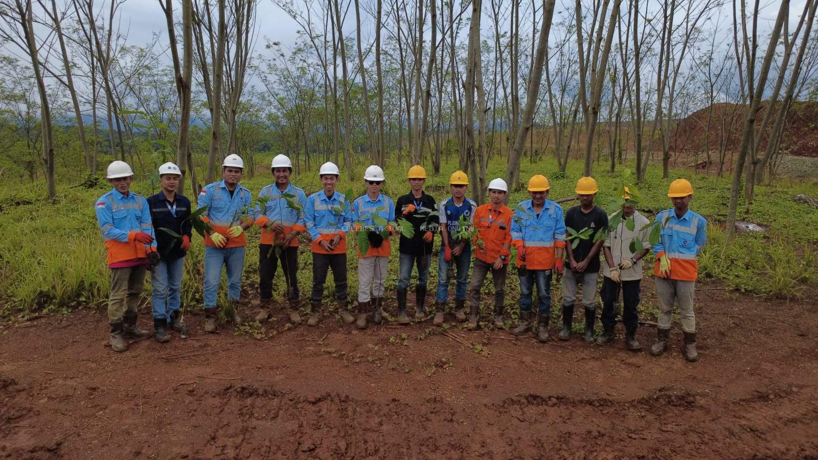 Hari Bumi 2025: PT. Citra Lampia Mandiri Tanam 1000 Pohon Tanaman Lokal di Malili
