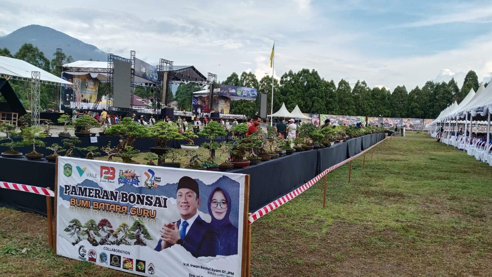 Ratusan Bonsai Hiasi Puncak HUT ke-22 Luwu Timur, Perpaduan Seni dan Keindahan Alam