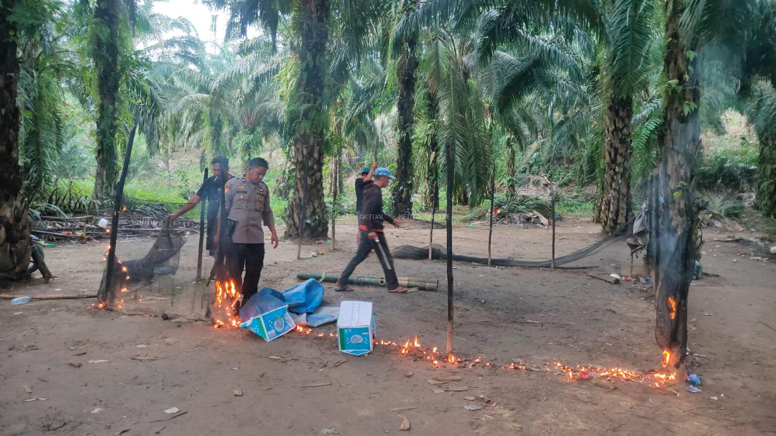 Cegah Perjudian, Polisi Bakar Arena Sabung Ayam di Kec. Burau