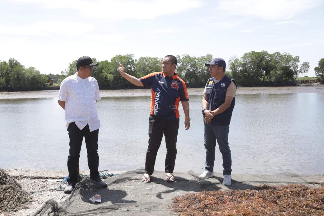 Bupati Luwu Timur Tinjau Akses Jalan Menuju TPI Wotu, Rencana Pelebaran Dimulai Tahun 2026