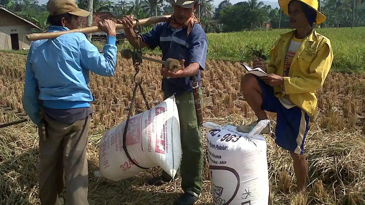 Bupati Luwu Timur Perintahkan Tera Ulang Timbangan, Lindungi Petani dari Praktik Curang