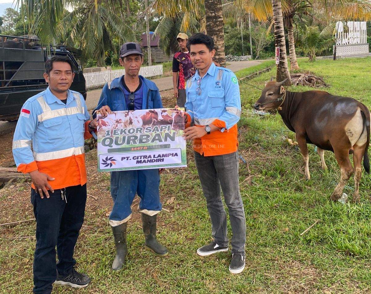 Jelang Iduladha, PT Citra Lampia Mandiri Salurkan 7 Ekor Sapi Kurban ke Desa Sekitar Operasional