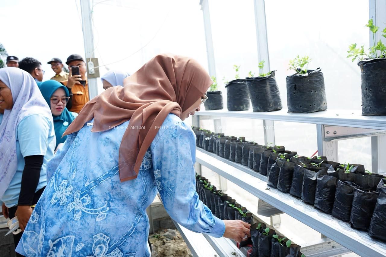 Rumah Hijau Wulasi Mandiri Dorong Produksi Pangan dan Pertanian Organik di Luwu Timur