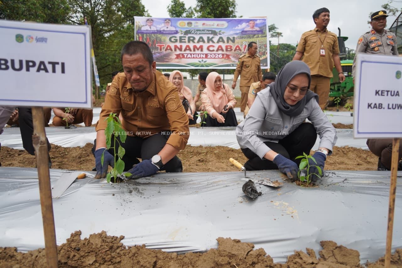 Distan-KP Luwu Timur Perketat Pengawalan Bantuan Sarprodi Cabai Tahap II
