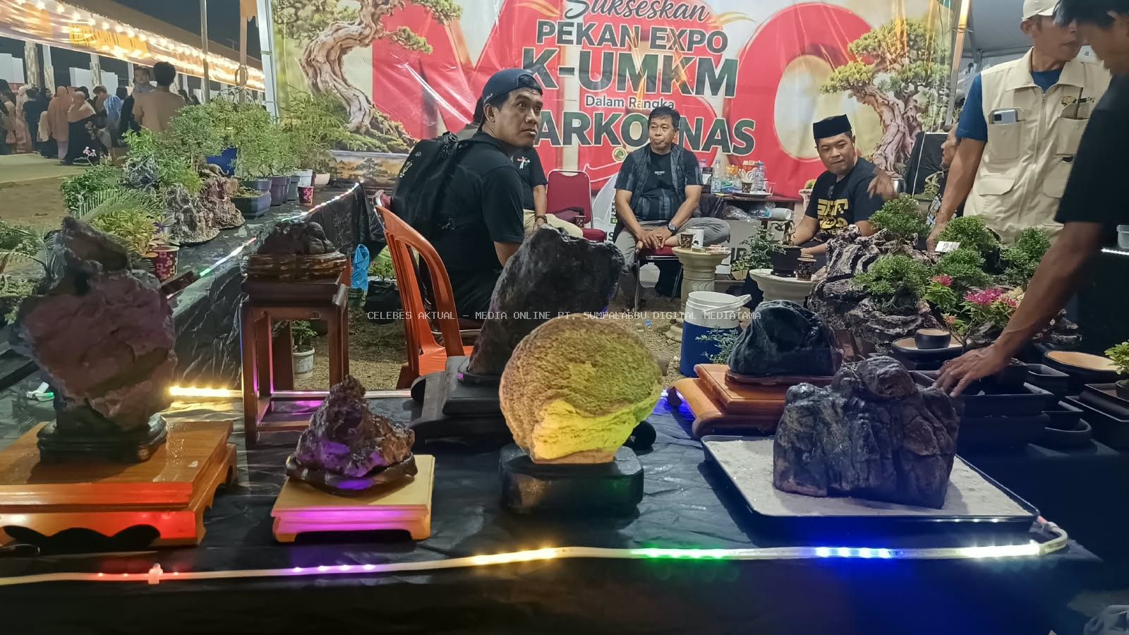 Malili Bonsai Community Hadirkan Pesona Bonsai di Harkopnas ke-79 Sulsel